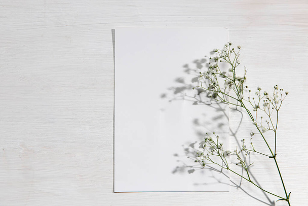 Blank paper business cards with mockup copy space on gypsophila on beige background. Minimal business template. Flatlay, top view. - Foto, Imagen