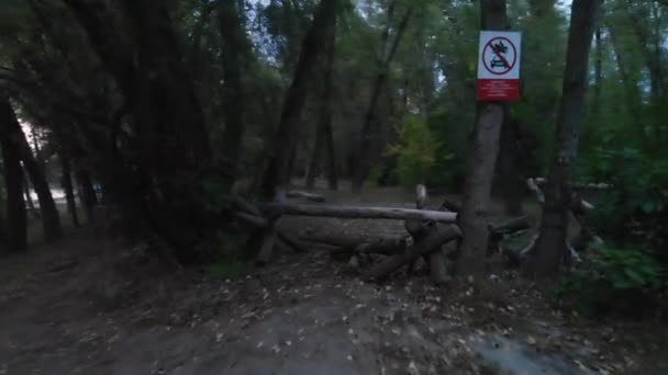 dramatyczny widok drewnianej blokady dróg w lesie - Materiał filmowy, wideo