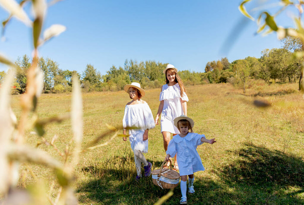 Sisters walk across the field, holding hands. Time with family. Cheerful picnic in the park. Happy people - Zdjęcie, obraz