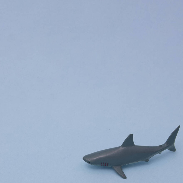 Tubarão sobre um fundo azul claro com espaço de cópia. Cenário estético minimalista. - Foto, Imagem