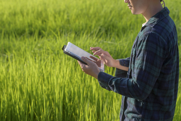 A young female smart farmer with tablet on field,High technology innovations and smart farming - Photo, image