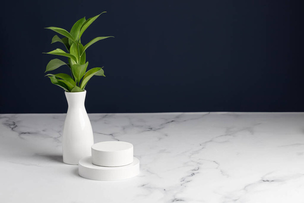 White Podiums and Vase with greens on natural white marble texture for design and art work. Blue wall interiors backdrop design. - Foto, afbeelding