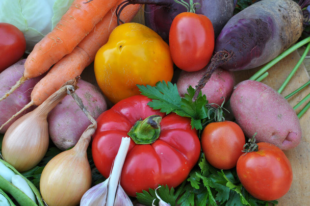 Set of vegetables for cooking red borscht - Фото, изображение