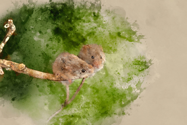 Digital watercolor painting of Cute harvest mice micromys minutus on wooden stick  - Photo, Image