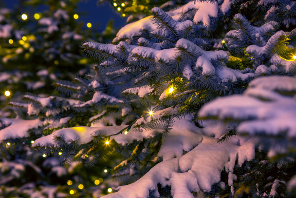 Покрытые снегом еловые ветви украшением включали рождественские гирлянды ночью - Фото, изображение