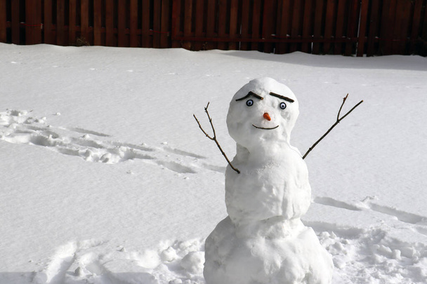 Muñeco de nieve sonriente en frío día de invierno nevado - Foto, Imagen