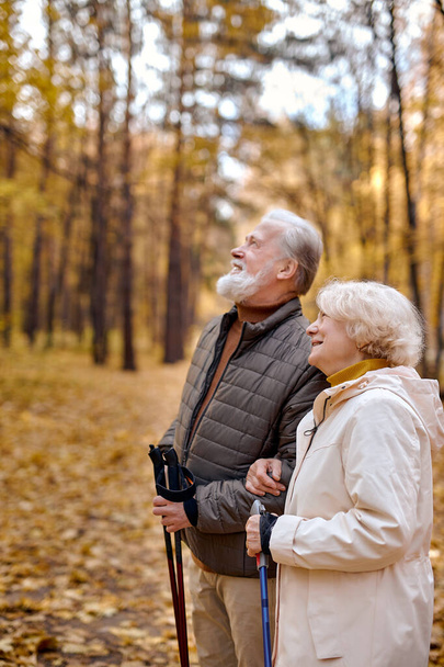 senior caucasian couple with nordic sticks walking in autumn park, enjoying the weather - Фото, изображение
