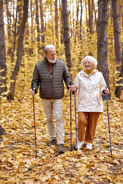 active aged couple walking with Nordic poles while enjoying hike in autumn forest - Photo, Image