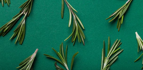 Rosemary food background with rosemary branches on minimal green background - Photo, Image