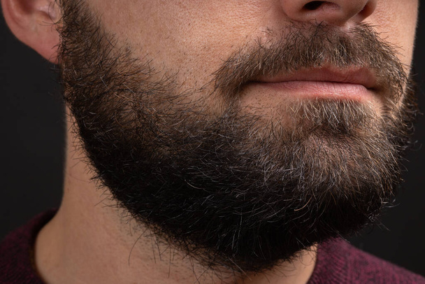 Handsome bearded man close up. Closeup of bearded mans. Male with mustache growing. Perfect beard. Close-up of young bearded man. Close up of handsome beard hipster elegant male - Fotografie, Obrázek