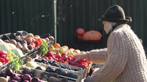 Manzanas en el mercado. Abuela toma dos manzanas de una caja en el mercado de agricultores. - Imágenes, Vídeo