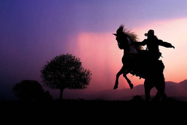 La silueta del vaquero y la puesta de sol - Foto, imagen