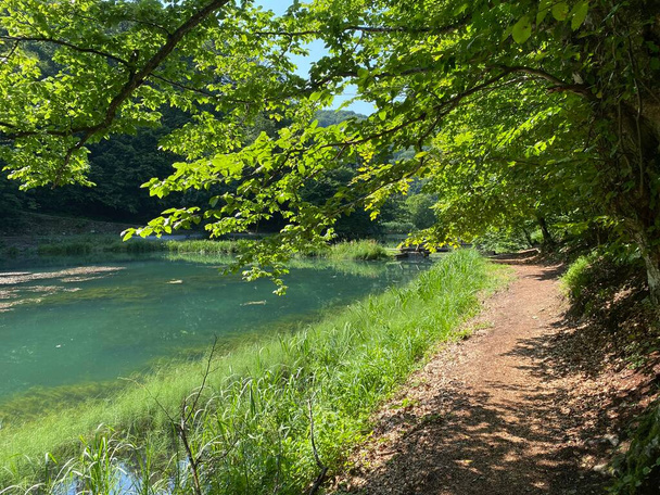 Szlaki spacerowe i turystyczne w parku leśnym Jankovac lub edukacyjny szlak hrabiego w parku przyrody Jankovac - Papuk, Chorwacja (Grofova poucna staza na Jankovcu - Park prirode Papuk, Hrvatska) - Zdjęcie, obraz