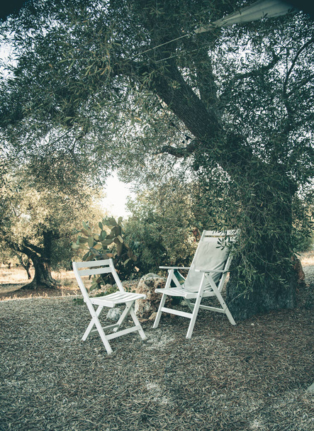 İtalya, Apulian kırsalında yaz mevsimi - Fotoğraf, Görsel