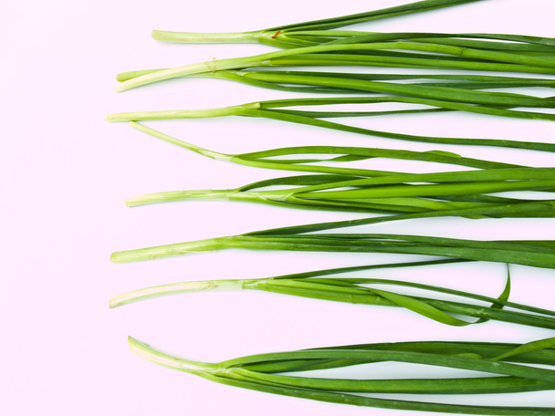 Garlic chives  isolated on white background - Zdjęcie, obraz