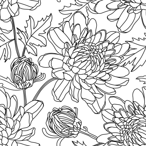 Chrysanthemum flowers. Line seamless pattern - Vektor, Bild