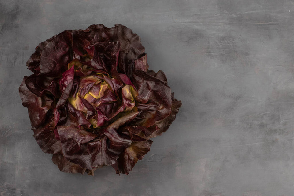 Red salad leaves on gray stone background, top view flat lay. - Foto, immagini
