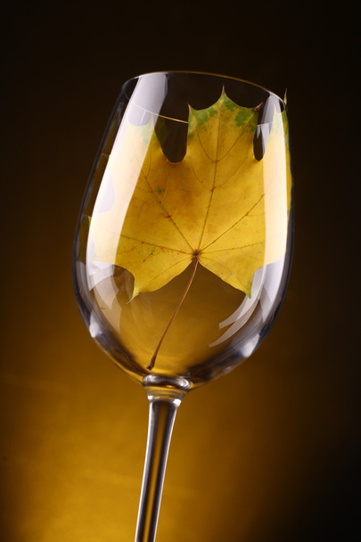 Foglia gialla in un bicchiere
 - Foto, immagini
