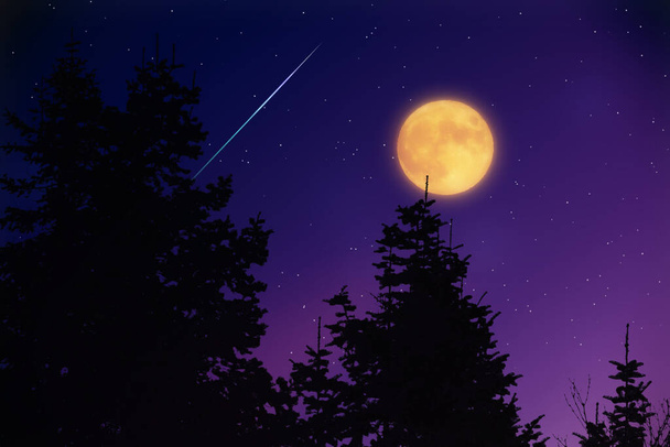 Силуети дерев, зірки і Місяць на яскравому небі
. - Фото, зображення