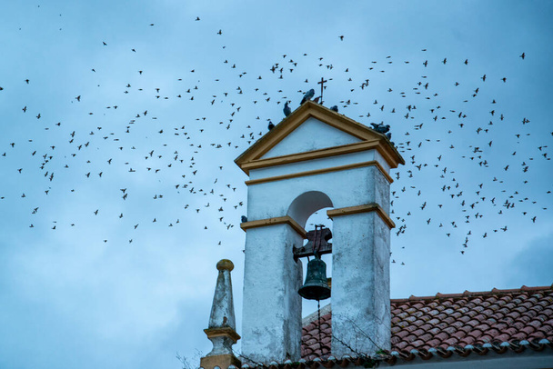 a church in the Village of Alter do Chao in Alentejo in  Portugal.  Portugal, Alter do Chao, October, 2021 - Fotó, kép