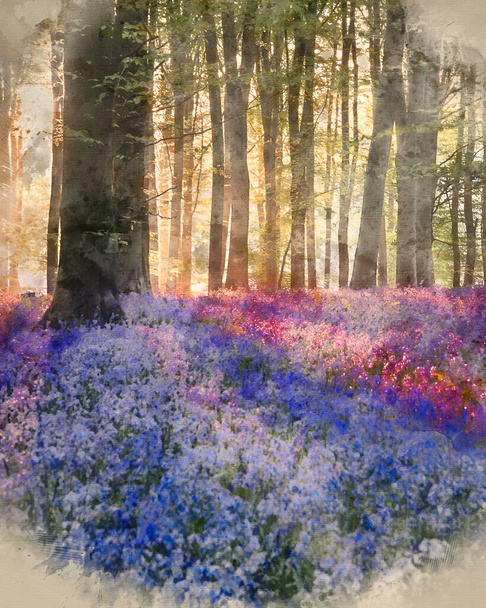 Digitális akvarell festmény Epikus Tavaszi táj kép élénk Bluebell virágok az erdőben - Fotó, kép