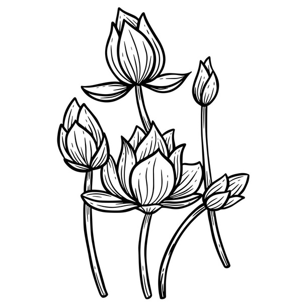 Hand Drawn Flower Lotus leafs naturals isolated sticker black botanical Line Art illustration - Vector, Image