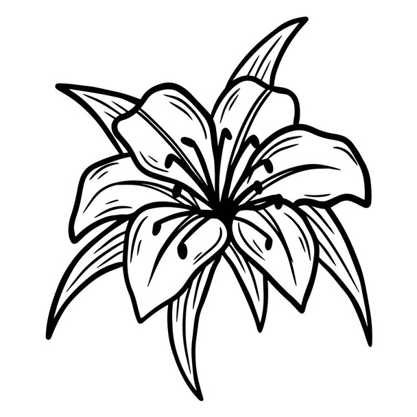 Hand Drawn Flower Rose φύλλα φύλα απομονωμένο αυτοκόλλητο μαύρο βοτανική γραμμή Art illustration - Διάνυσμα, εικόνα