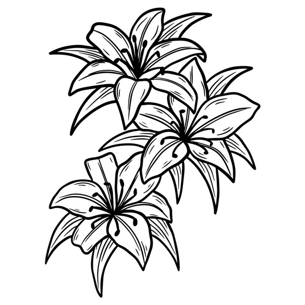 Hand Drawn Flower Rose leafs naturals isolated sticker black botanical Line Art illustration - Vector, Image