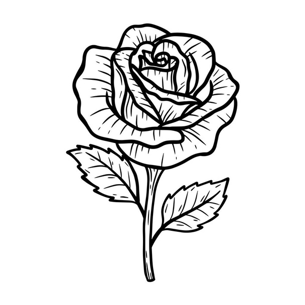 Ręcznie rysowane kwiaty Rose liście naturalne izolowane naklejki czarny botaniczne Line Art ilustracja - Wektor, obraz
