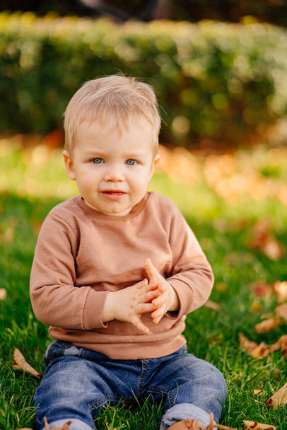 a cute little blonde boy in a brown sweater on a green lawn with autumn leaves.  - Fotoğraf, Görsel