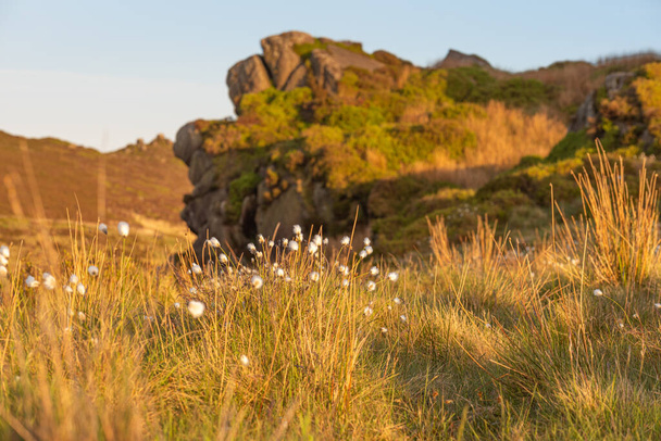Гіб Торр дивиться в бік тарганів, скелі Раншо і Хмари Хен на заході сонця в національному парку Пік.. - Фото, зображення
