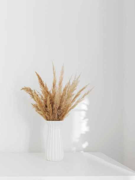 dried wild flowers in white vase on wooden shelf on background white wall - Foto, Imagen