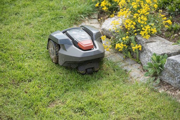 Lawn mower cutting grass. Work alone in the garden - robo - Photo, Image