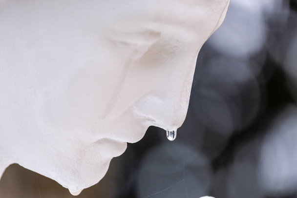 Ангел, плачущий от дождя, муниципальное кладбище Генуи, Балеарские острова, Испания - Фото, изображение
