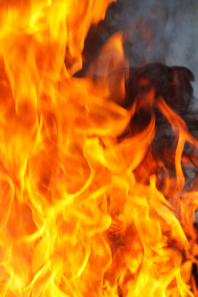 Feuer brennt Katastrophenflamme - Foto, Bild