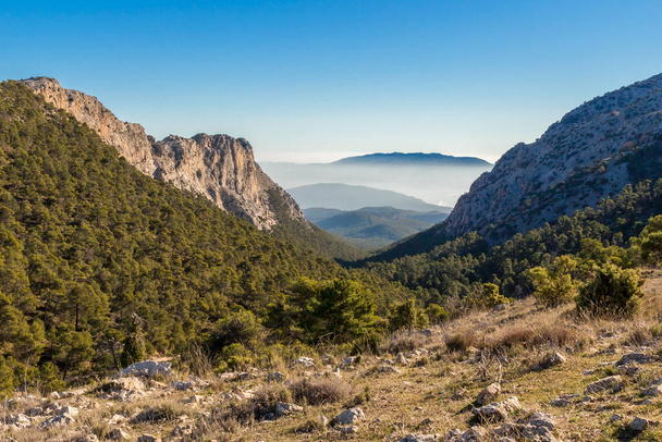 Přírodní park Sierra Espuna. Sierra Espuna je hornatý masiv s hustým lesem převážně borovic, s hojnou flórou a faunou se nachází v regionu Murcia, Španělsko - Fotografie, Obrázek