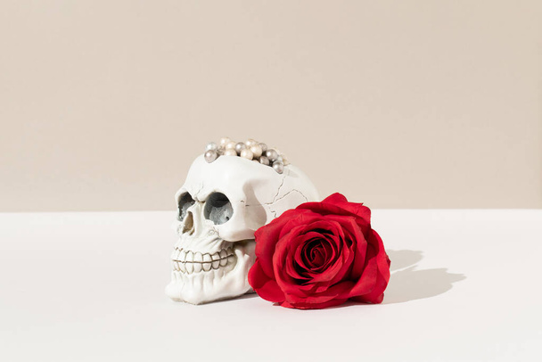 Skull with perls and red flower rose on pastel background. Minimial  halloween creative love fashion concept. - 写真・画像