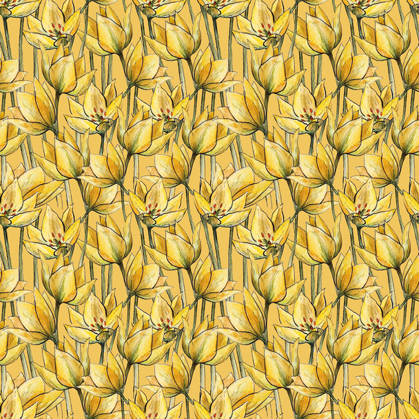Seamless pattern with yellow tulips on a yellow background. Watercolor floral tulip texture. Seamless colorful spring pattern. - Фото, зображення