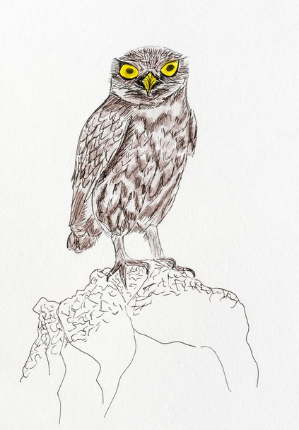 drawing with paints depicting an owl - Φωτογραφία, εικόνα