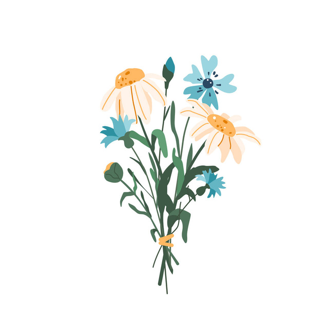 Ramo de flores con ilustración vectorial de aciano y manzanilla aislada sobre fondo blanco en estilo moderno y sencillo - Vector, imagen