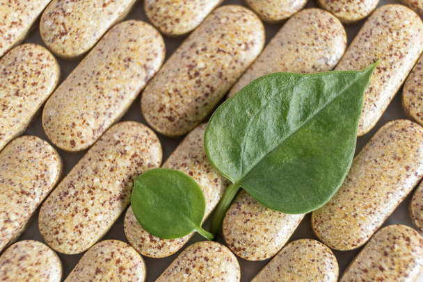Modèle de pilules à base de plantes biologiques et de feuilles fraîches pour une alimentation saine dans la vie quotidienne. - Photo, image