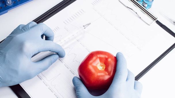 Organismo geneticamente modificato. Scienziato OGM iniettando liquido dalla siringa nel pomodoro rosso. Concetto di biotecnologia alimentare OGM - Foto, immagini