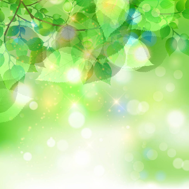 Свежие зеленые листья
  - Вектор,изображение