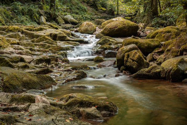 The Grobbach, a small creek in the northern Black Forest near Malschbach, Baden-Wuerttemberg, Germany - Φωτογραφία, εικόνα