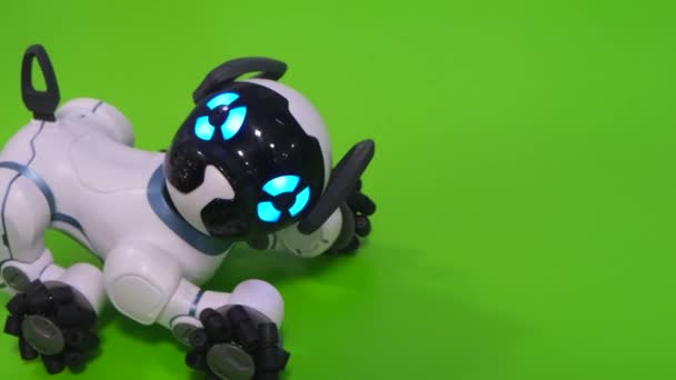 Διαδραστικό έξυπνο σκυλάκι, ηλεκτρονικό κατοικίδιο. Ρομπότ σκύλος  - Πλάνα, βίντεο