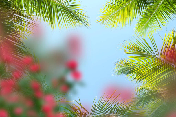 bleu ciel tropical vert feuilles de palmier sur le devant exotique jaune rose corail lilas fleurs été modèle fond copie espace bannière  - Photo, image