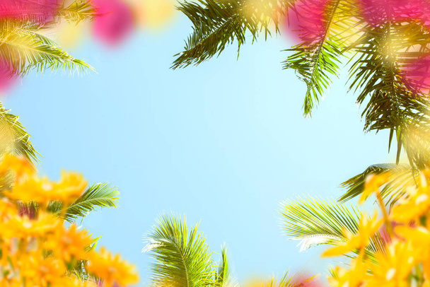 blauwe hemel tropische groene palm bladeren op de voorkant exotisch geel roze koraal lila bloemen zomer template achtergrond kopieer ruimte banner  - Foto, afbeelding