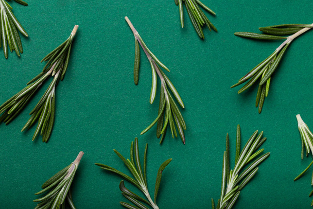 Rosemary food background with rosemary branches on minimal green background - Foto, imagen