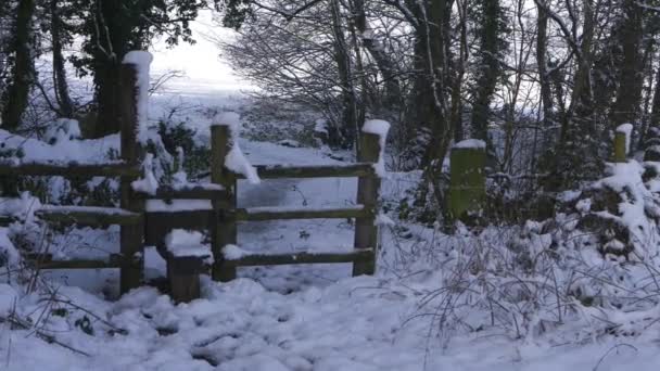 Стиль в сельской местности зимой после снегопада - Кадры, видео