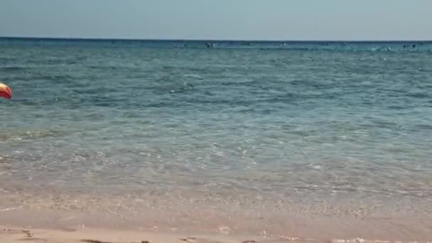 小さな子供たちを追いかけているインフレータブルライフブイ海の水に浮かぶリングを泳ぐ - 映像、動画